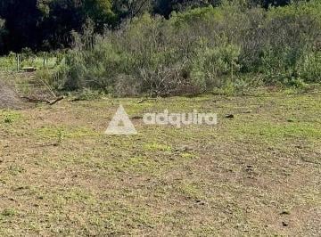 Rural · 3782m² · 1 Quarto · Chácara em Centro, Ponta Grossa/PR de 3782m² 1 quartos à venda por R$ 390.000,00