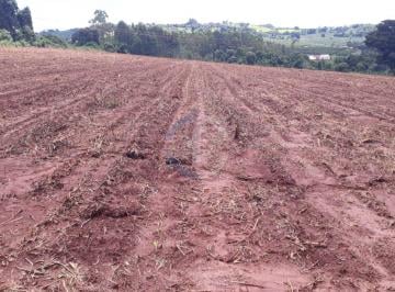 Imagem 1 · Sítio