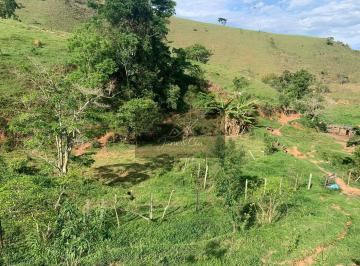Imagem 1 · Sítio para venda em Vila Regina Célia, Cruzeiro