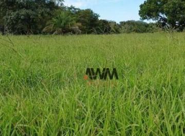 Imagem 1 · Fazenda