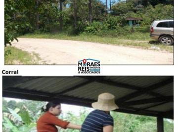 Imagem 1 · Sítio para venda em Centro, Juquiá