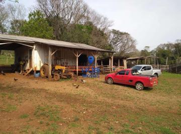 Imagem 1 · Fazenda