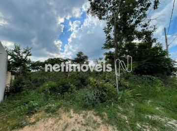 d03e3224-516d-49d9-b16f-a360bbb2ffba.webp · Lote à venda em Betim – Bairro Tiradentes