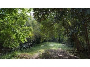1.jpg · 
									Terreno para Venda no bairro Amaral Ribeiro em Sapiranga
								