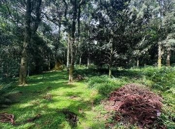 1.jpg ·
Terreno para Venda no bairro Linha Imperial em Nova Petrópolis
