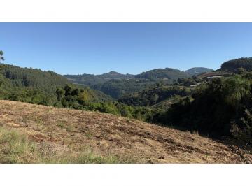 1.jpg · 
									Sítio / Chácara para Venda no bairro Linha Marcondes em Santa Maria do Herval
								