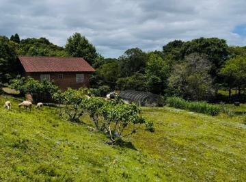 1.jpg · 
									Sítio / Chácara 2 quartos para Venda no bairro Serra Grande em Três Coroas
								