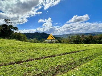 1.jpg · 
									Área 4,5 Hectares em Santa Maria do Herval | Plana + Riacho + Vista | Oportunidade
							