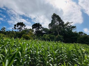 1.jpg · 
									Sítio / Chácara 1 quarto para Venda no bairro Serra Grande em Três Coroas
								