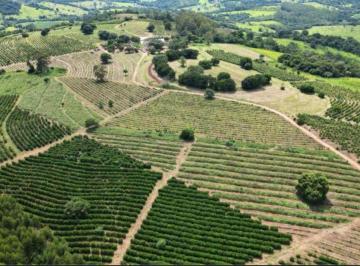 Rural de 4 quartos, São Sebastião do Paraíso · Fazenda ,café ,grãos ,pecuária
