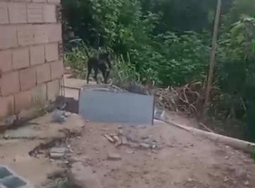 Terreno de 1 quarto, Sabará · Lote com casa em construção