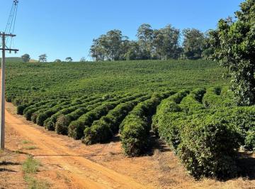 Imagem 1 · Fazenda para venda em Centro, Caconde