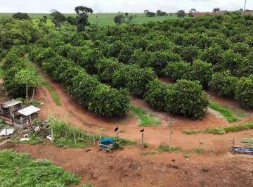 Imagem 1 · Fazenda para venda em Centro, Paraguaçu