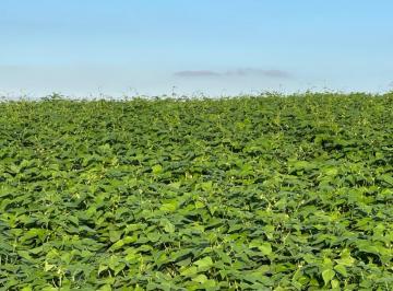 Imagem 1 · Fazenda