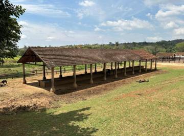 Imagem 1 · Fazenda