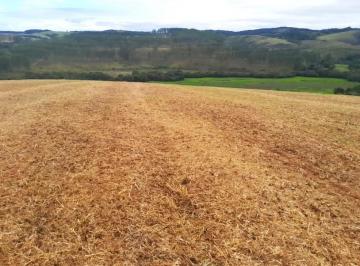 Imagem 1 · Fazenda