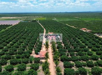 Imagem 1 · Fazenda