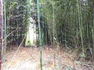 Imagem 1 · Fazenda para venda em Centro, Carandaí