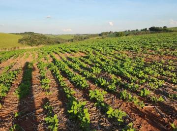 Imagem 1 · Fazenda
