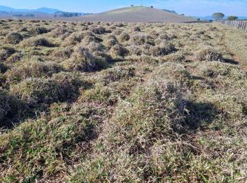 Imagem 1 · Fazenda para venda em Centro, São José do Alegre