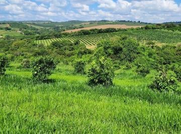 Imagem 1 · Fazenda