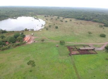 Imagem 1 · Fazenda