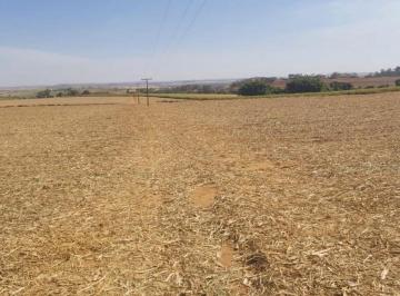 Imagem 1 · Fazenda para venda em Área Rural de Pouso Alegre, Pouso Aleg