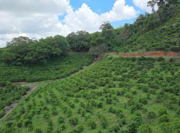 Imagem 1 · Fazenda para venda em Área Rural de Caconde, Caconde