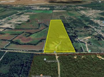 Rural , Porto Alegre · Área Rural 14 hectares à venda no Lami – Porto Alegre | Plana, ideal para sítio ou para investimento