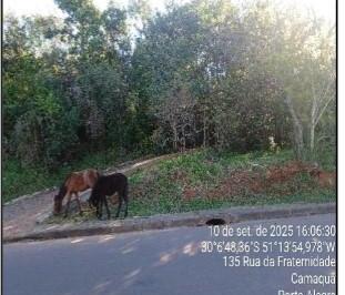 Photo_0 · 
                Oportunidade Única em PORTO ALEGRE - RS | Tipo: Terreno | Negociação: Venda Online 