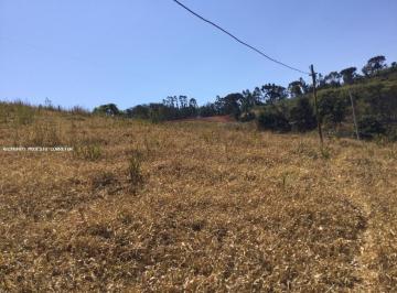 202509171505461132.jpeg · Terreno para Venda em Toledo, Pinhal Grande