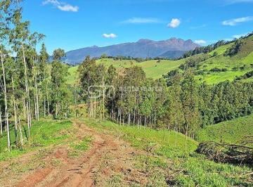 Imagem 1 · Fazenda