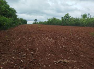Imagem 1 · Fazenda
