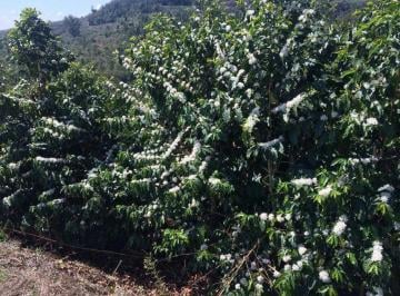 Imagem 1 · Fazenda