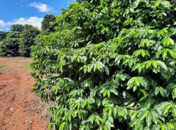 Imagem 1 · Fazenda