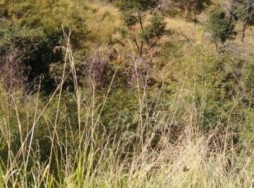 Imagem 1 · Terreno