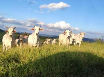 Imagem 1 · Fazenda