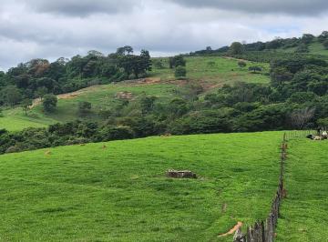 Imagem 1 · Fazenda para venda em Centro, Campanha