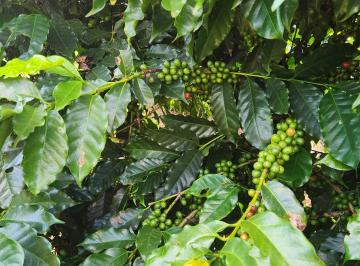 Imagem 1 · Fazenda