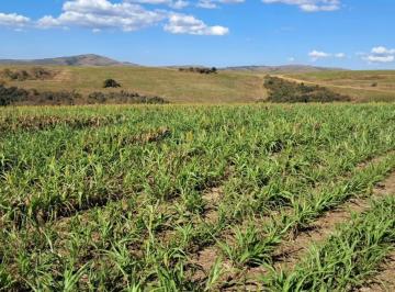 Imagem 1 · Fazenda