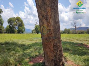 Imagem 1 · Fazenda