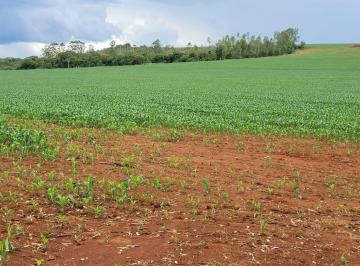Imagem 1 · Fazenda para venda em Zona Rural, Bambuí