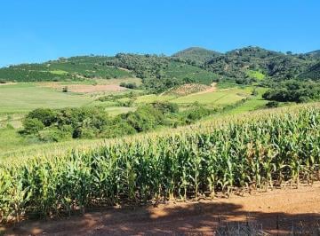 Imagem 1 · Fazenda para venda em Centro, Lambari