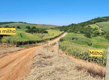 Imagem 1 · Fazenda