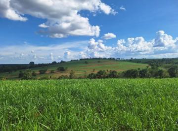 Imagem 1 · Fazenda