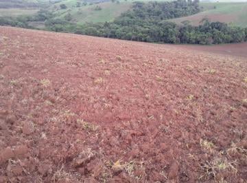 Imagem 1 · Fazenda