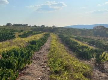 Imagem 1 · Fazenda