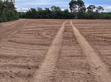Imagem 1 · Fazenda