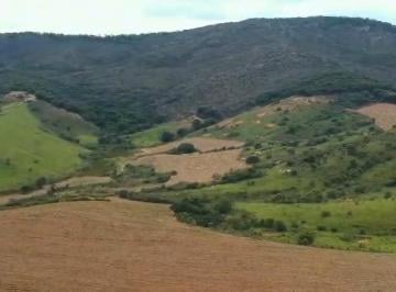 Imagem 1 · Fazenda