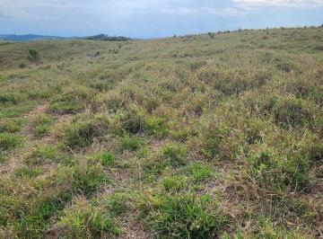 Imagem 1 · Fazenda